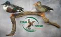 Mallard flight mount