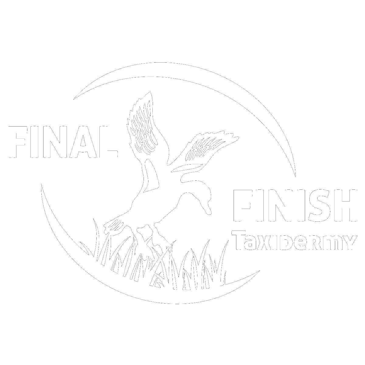 Final Finish Taxidermy